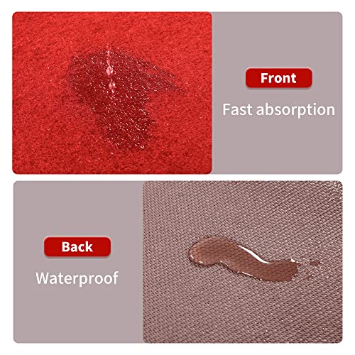 Red Carpet Runner for Events, 3x10 Events Decorations
